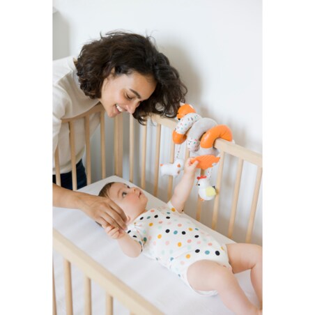 Sensoryczna spirala aktywności - farma