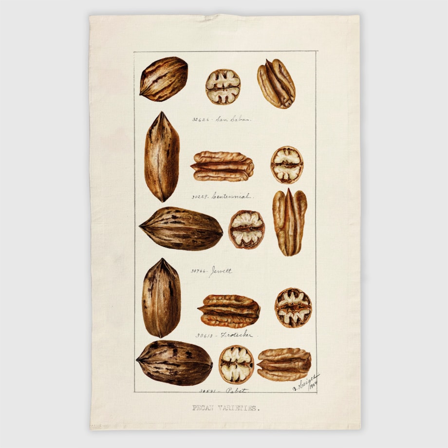 ścierka kuchenna lniana - orzechy włoskie 50x70 cm