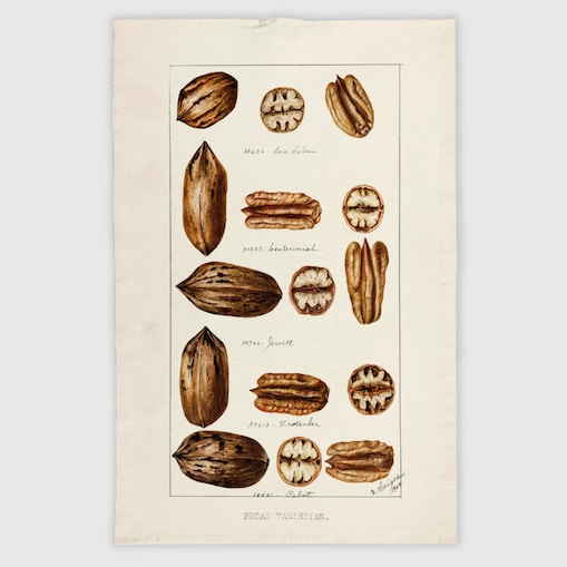ścierka kuchenna lniana - orzechy włoskie 50x70 cm