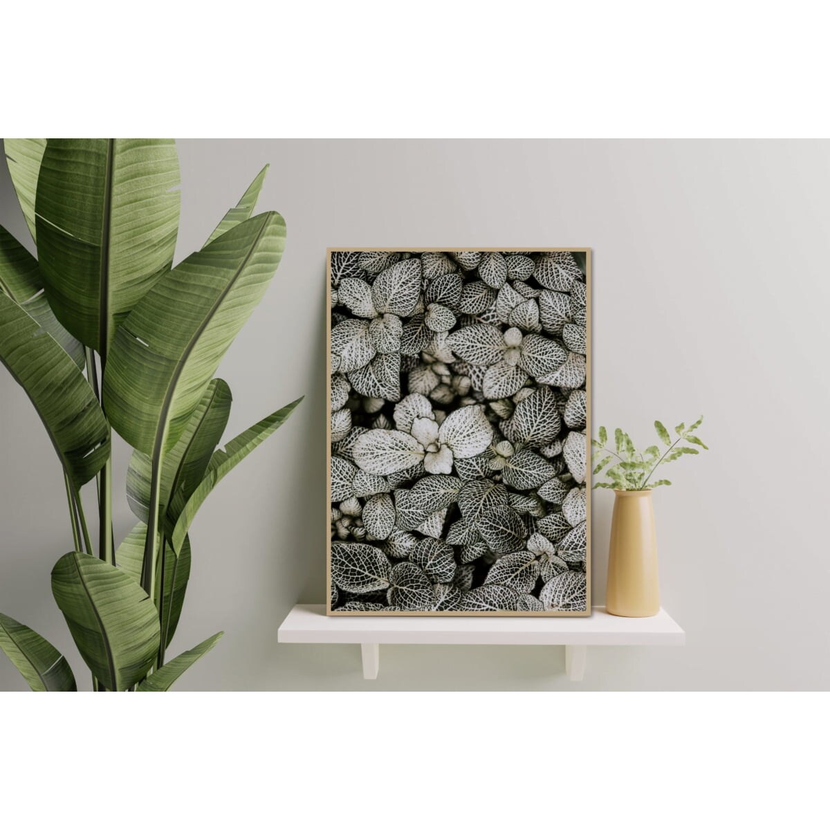 Poster Story, Plakat, Obraz - Liście Fitonii, wymiary 21 x 30 cm