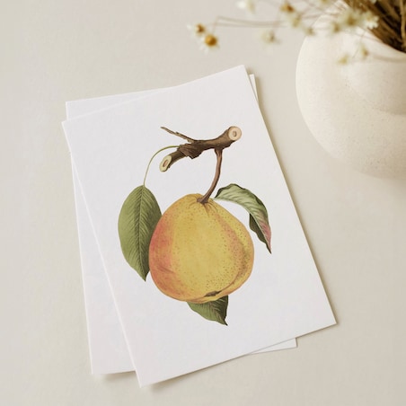 Plakat dojrzała gruszka 21x30cm