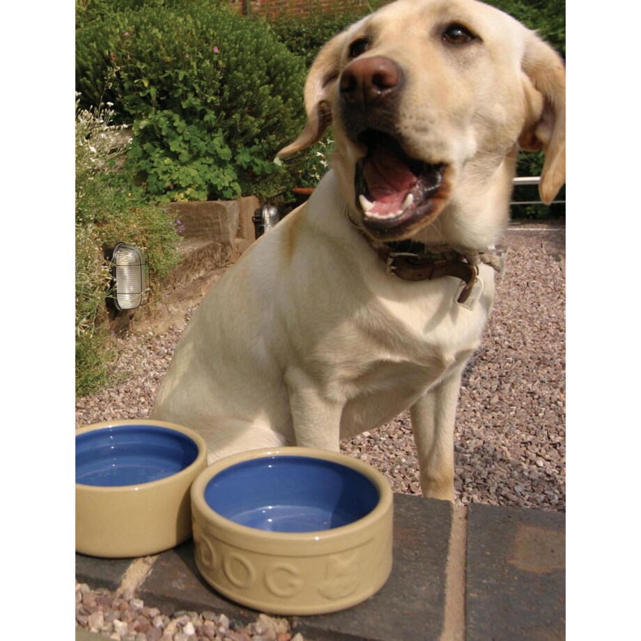 Miska na karmę lub wodę dla psa Cane&Coloured, 13 cm, Mason Cash