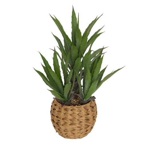Sztuczna agawa MODA w plecionej doniczce, wys. 61 cm