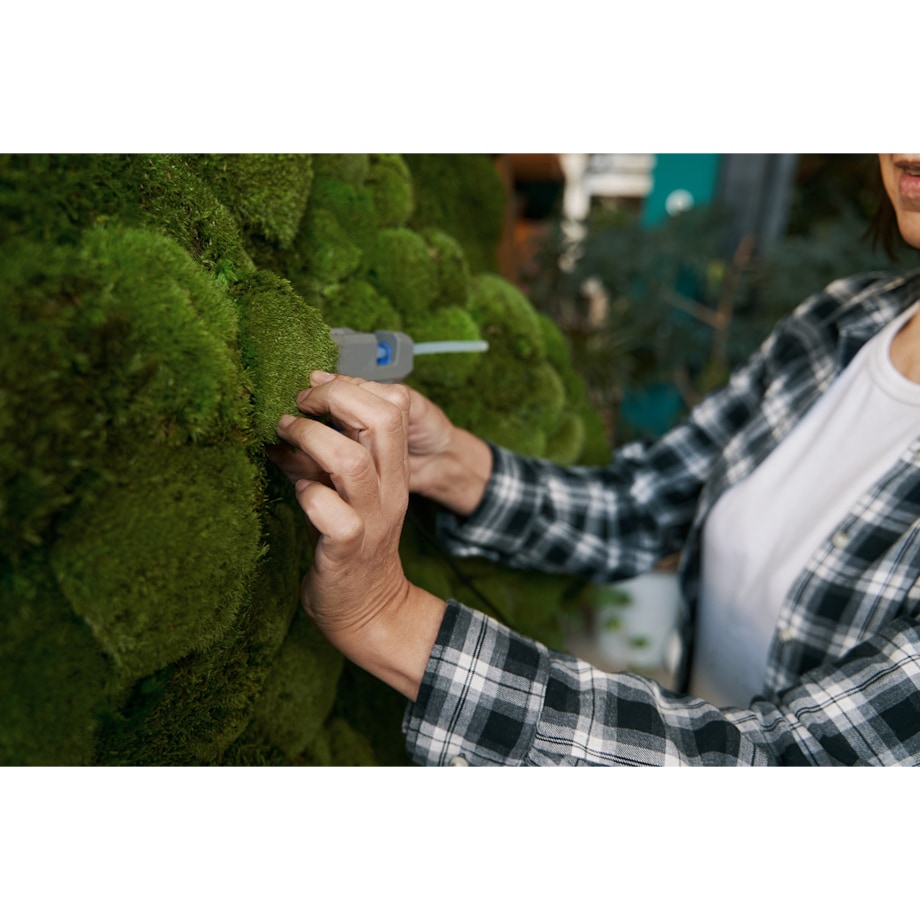 Obraz Głowa jelenia na drewnianym tle - mech chrobotek w białej ramie 40x60cm