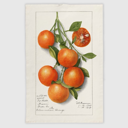 Lniana ścierka kuchenna - Gałąź pomarańczy