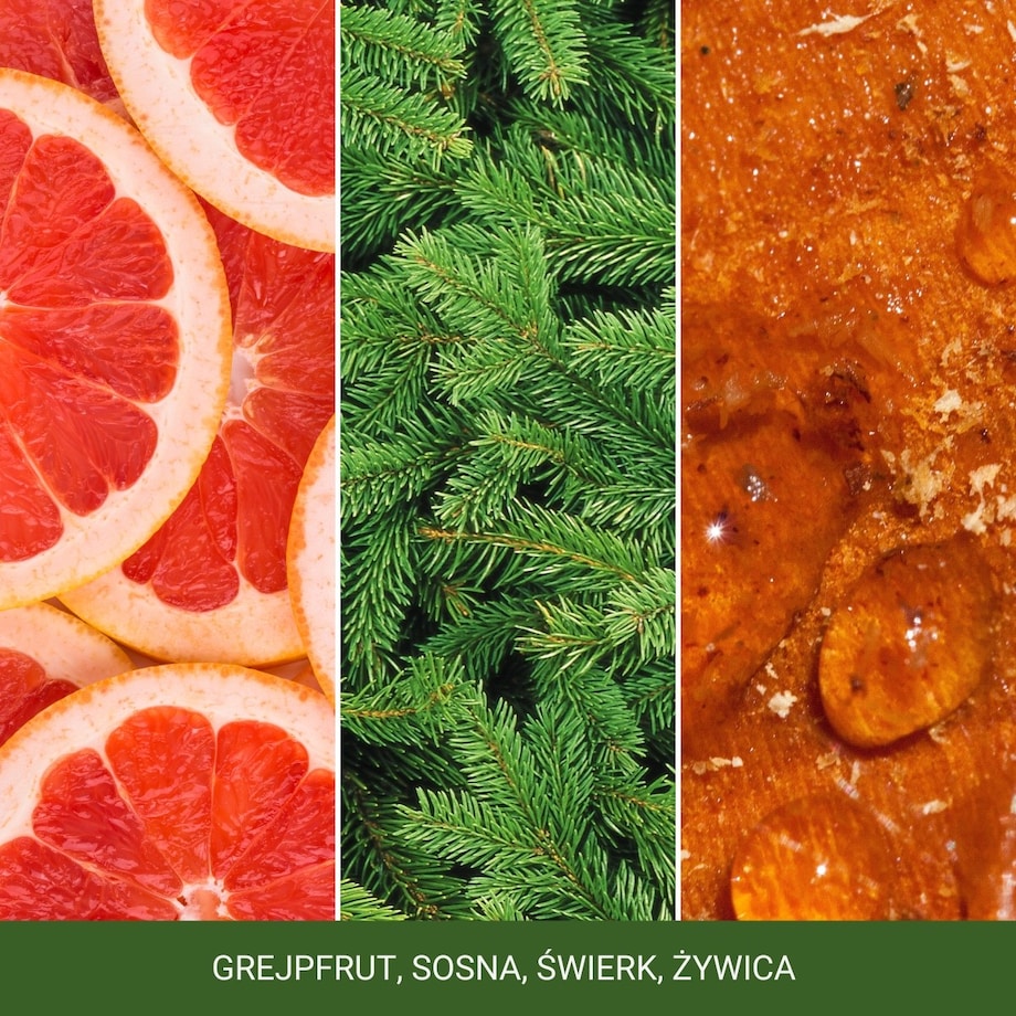 YC SIG.Świeca średnia WHITE SPRUCE & GRAPEFRUIT