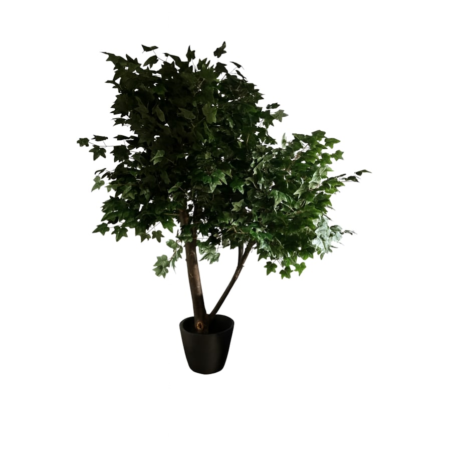 Drzewo klon z zielonymi liśćmi na naturalnym pniu 240 cm