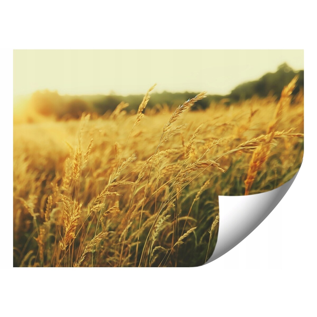 Fototapeta Ft-09-24 Do Sypialni Salonu Tapeta Ścienna 400X280