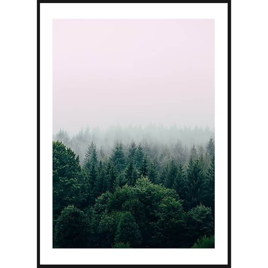 Poster Story, Plakat, Obraz - Las Otulony Mgłą, wymiary 21 x 30 cm