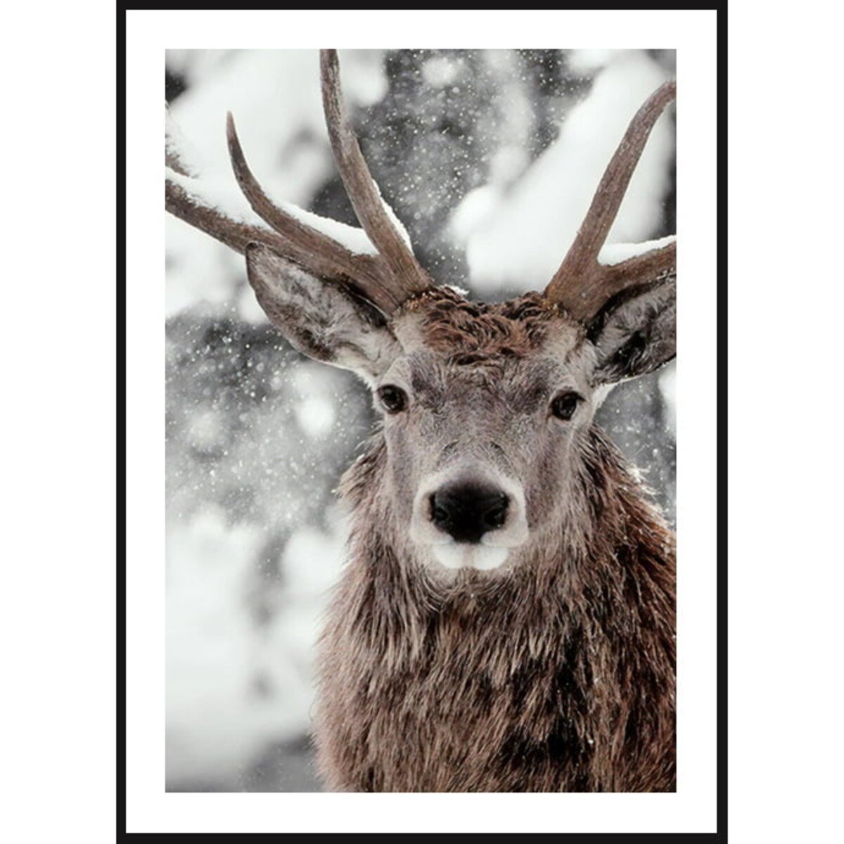 Poster Story, Plakat, Obraz - Jeleń w Płatkach Śniegu, wymiary 21 x 30 cm