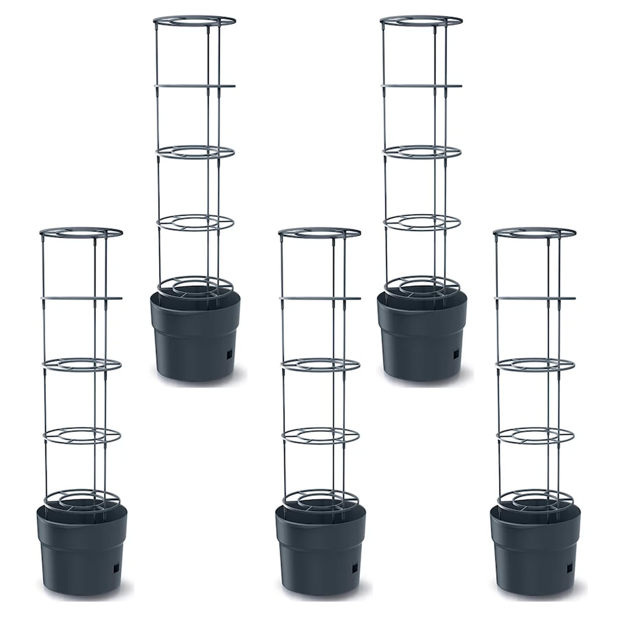 5X Doniczka Do Uprawy Pomidorów Donica Do Uprawy Domowej 153 Cm Wysokości