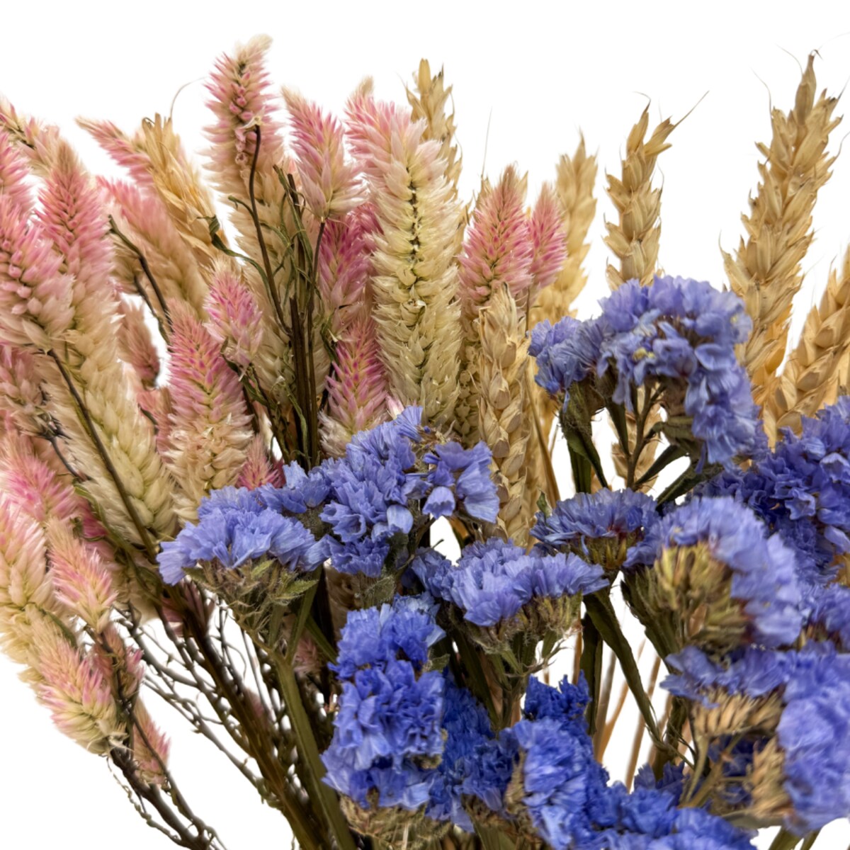 Zestaw suszonych kwiatów Mare roz. S - zatrwian, celozja, pszenica