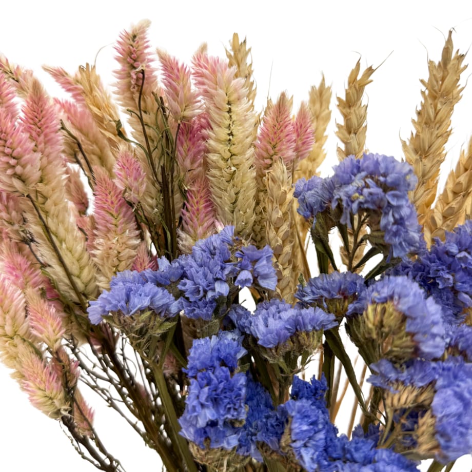 Zestaw suszonych kwiatów Mare roz. S - zatrwian, celozja, pszenica
