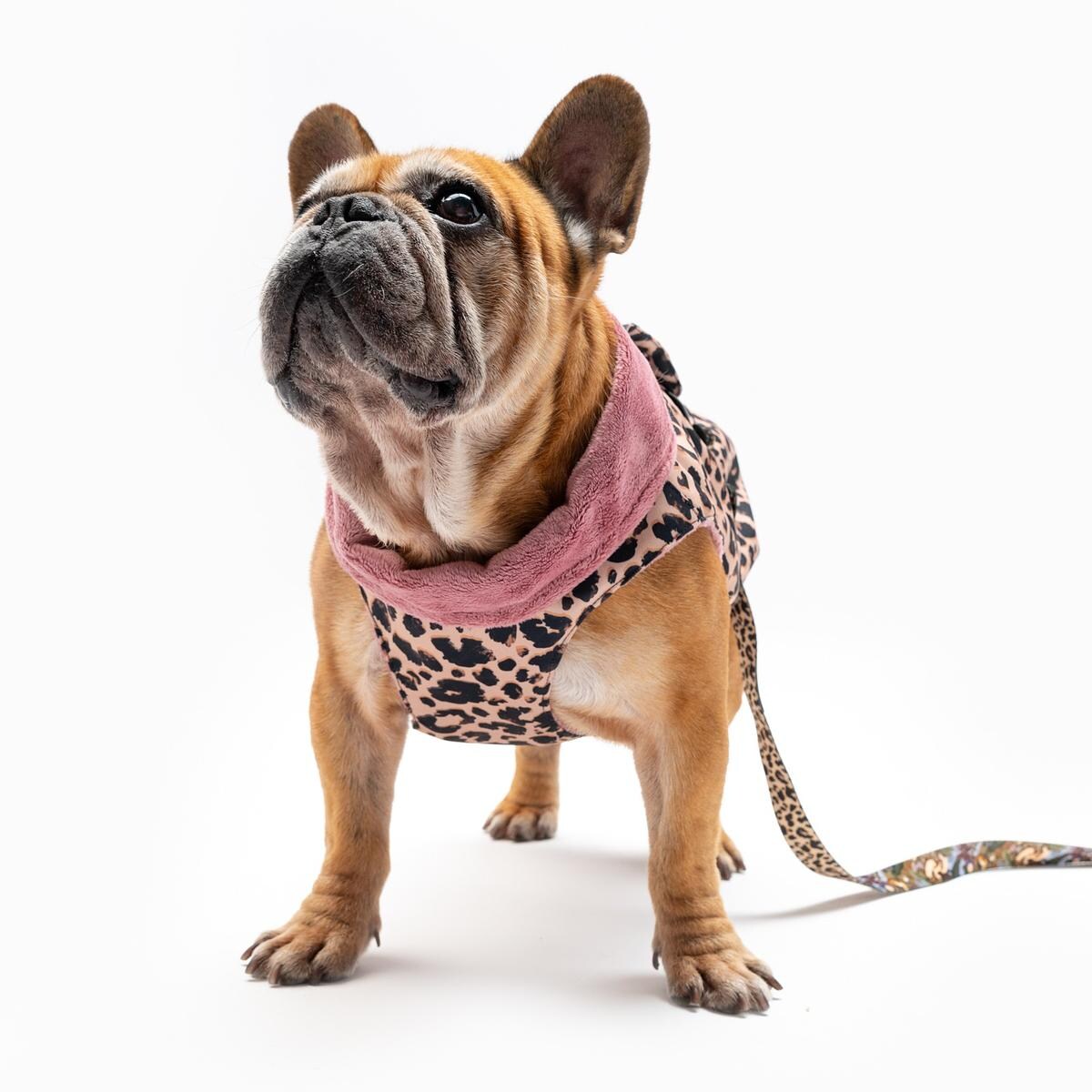 Kurtka dla psa "Panterka" - Rozmiar: S