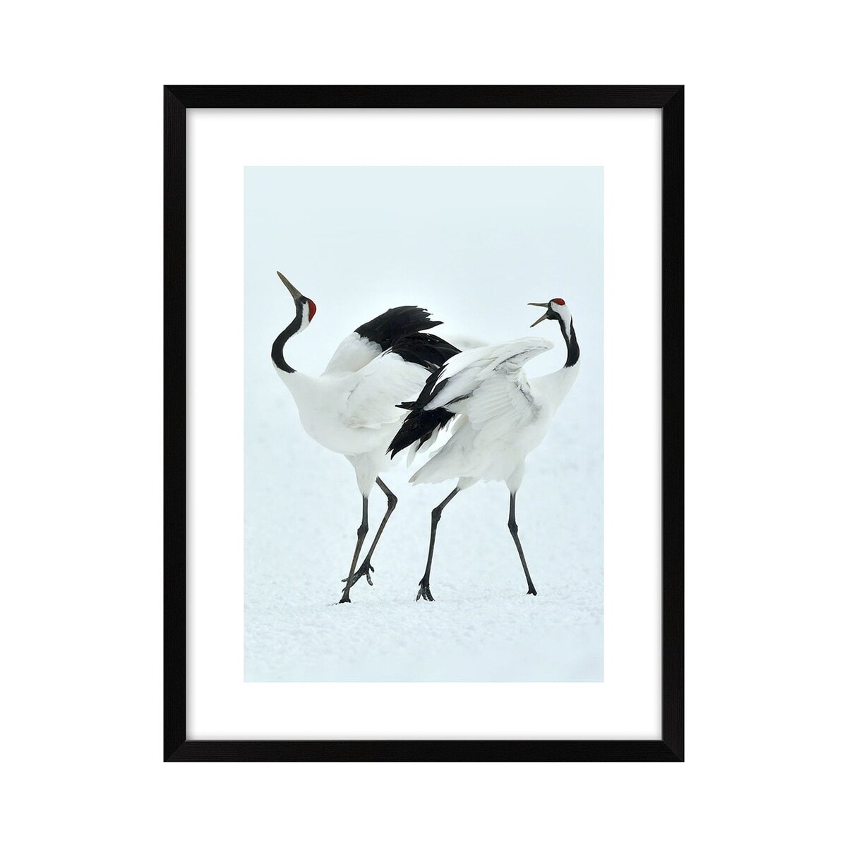 Obraz żurawie na białym tle 32x42 cm