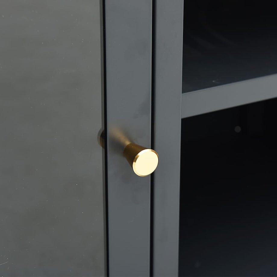 vidaXL Szafka pod telewizor, antracytowa, 105x35x52 cm, stal i szkło