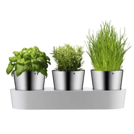 Zestaw 3 doniczek na zioła Gourmet, 36 x 12.5 x 10.8 cm, WMF