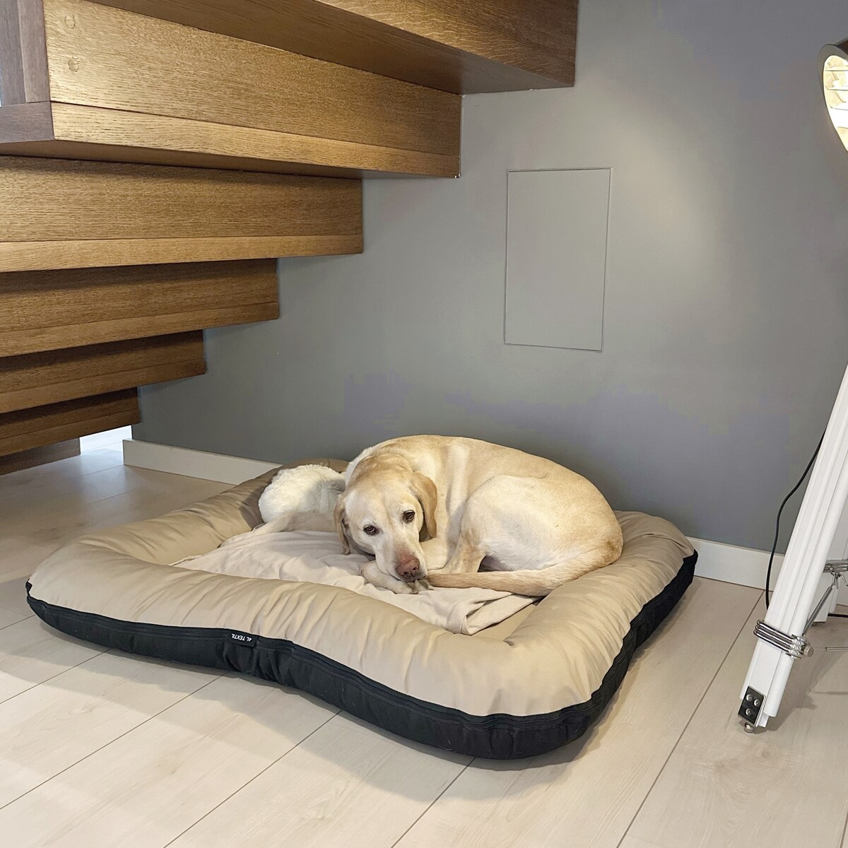 Wodoodporny materac dla psa ponton KLEO, 130x110 cm, Beż