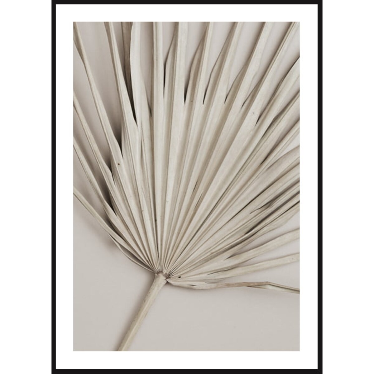 Poster Story, Plakat, Obraz - Beżowa Palma No1, wymiary 42 x 60 cm