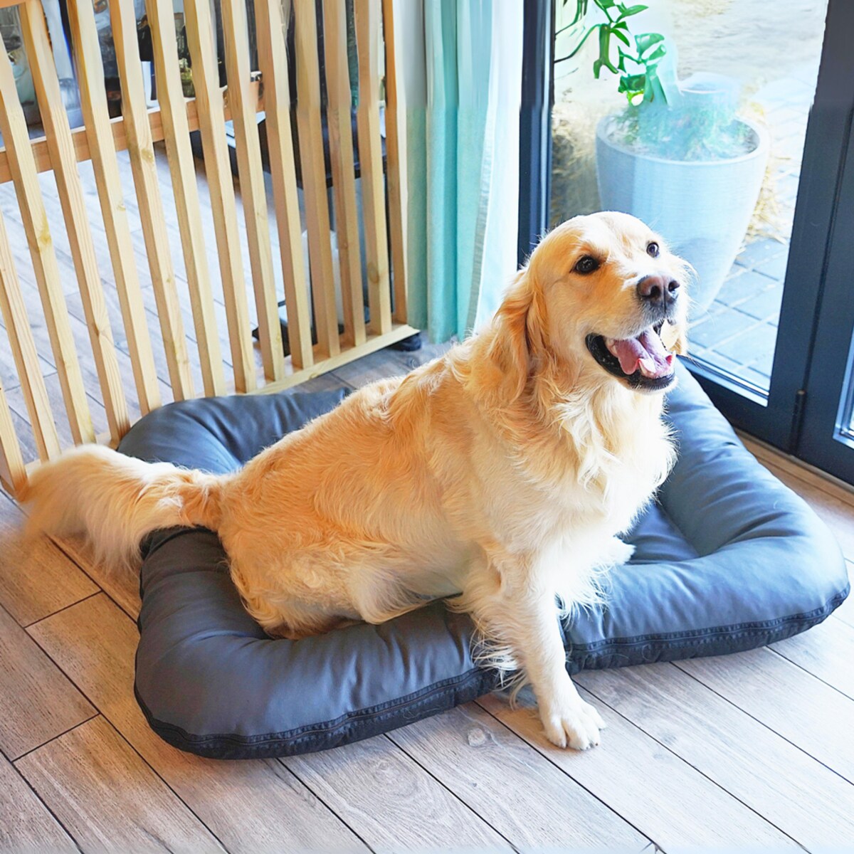 Legowisko Ponton dla psa z eko skóry ELLA, 110x90 cm, Grafit