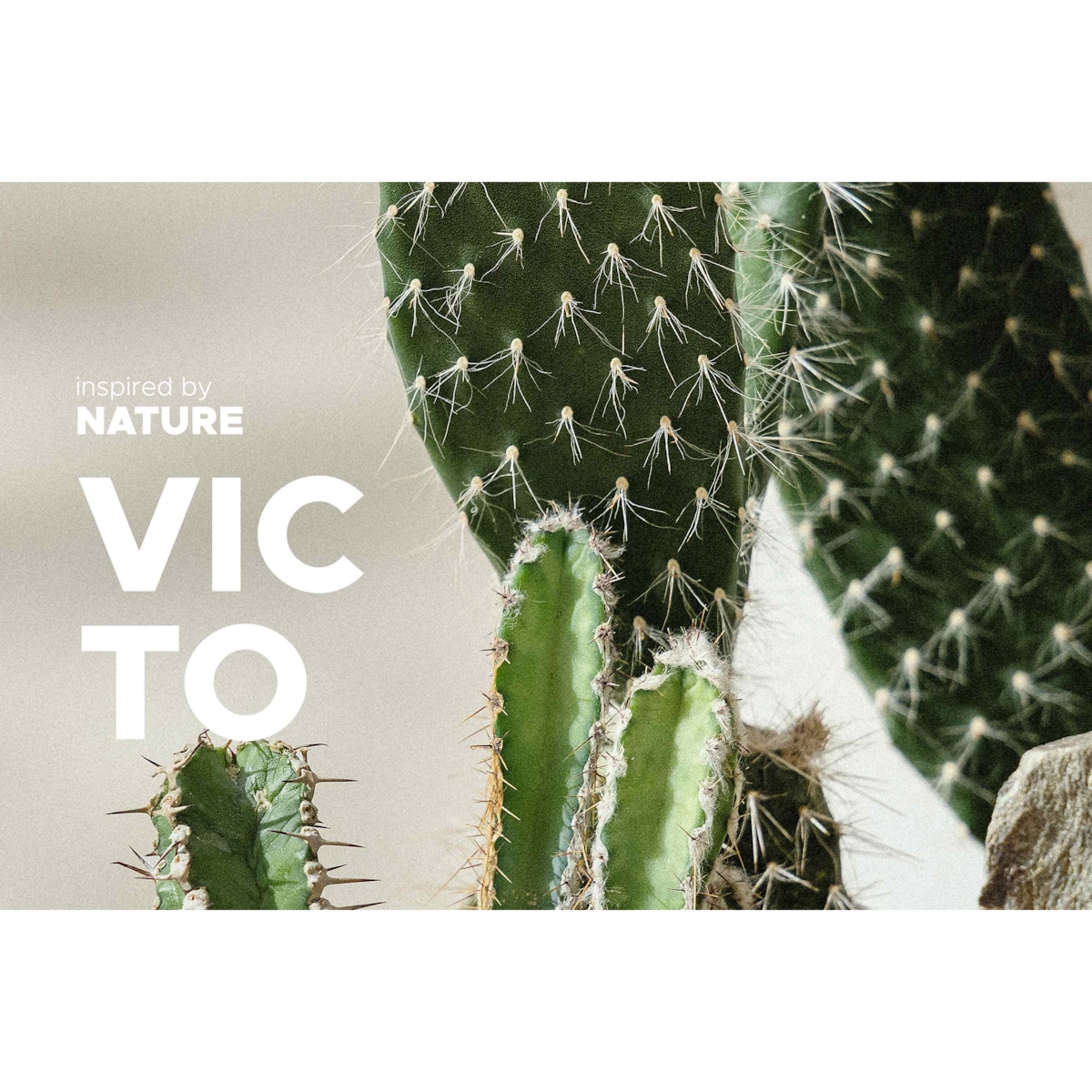 Konsimo VICTO Zestaw obiadowy 6os. (12 el.), pistacjowy