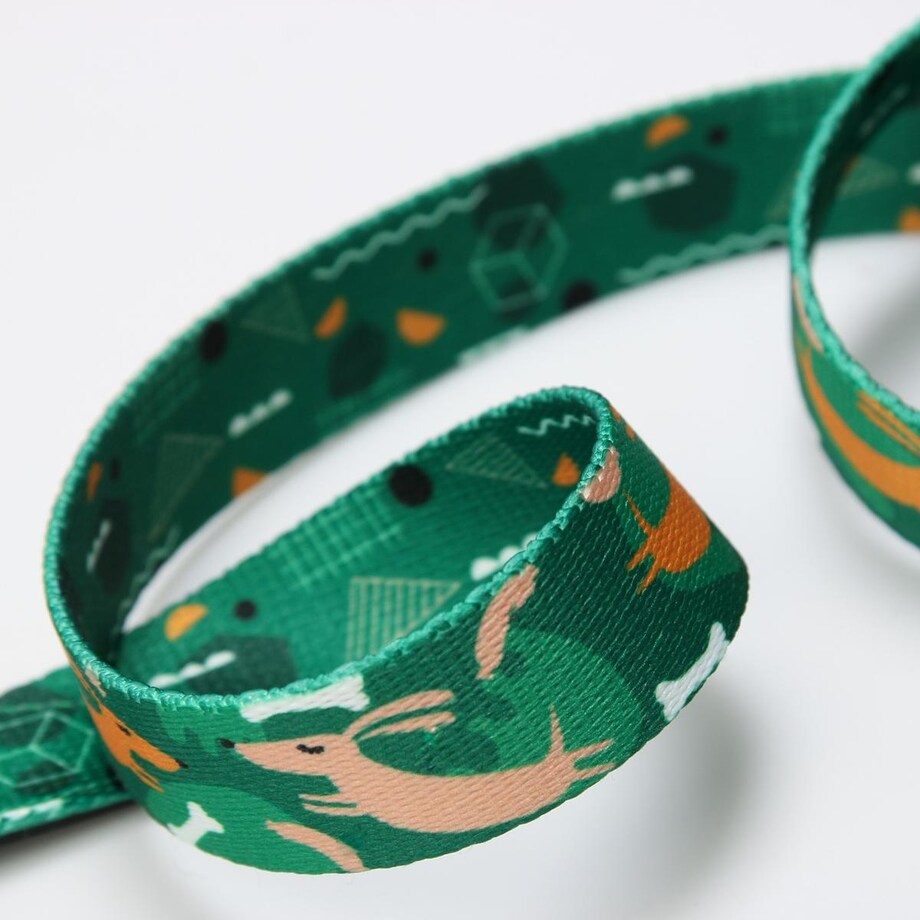 Smycz przepinana z amortyzatorem dla psa lub kota "Psy na jawie" - Szerokość taśmy: 25mm, Rozmiar: L oraz Rodzaj: Duży karabinek