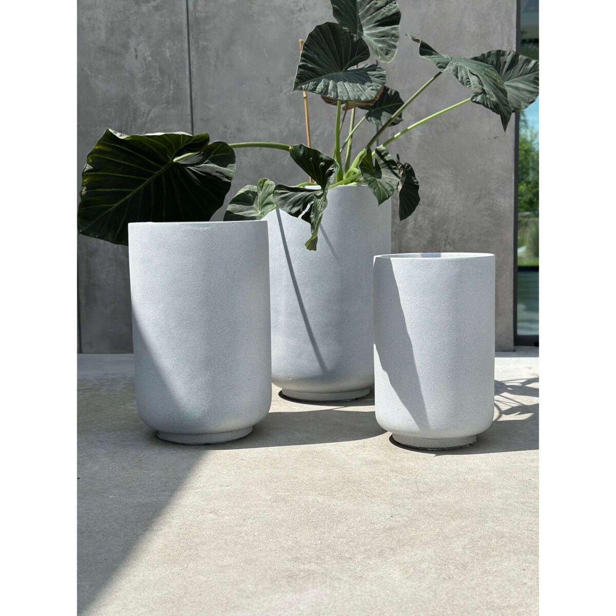 ZESTAW DONICZEK PANDORE SET