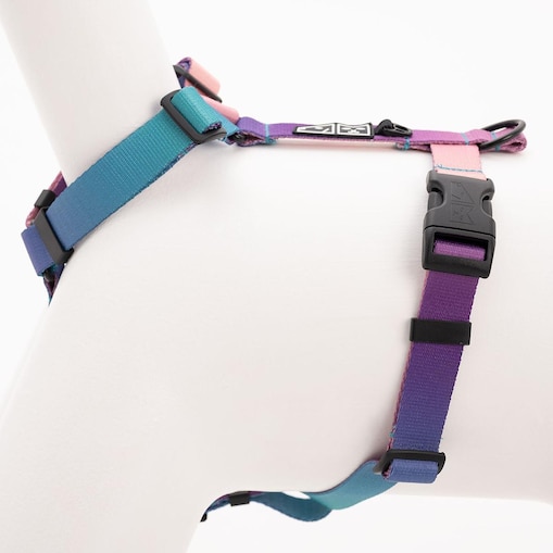 Szelki dla psa lub kota typu guard "Under my ombrella" TURKUS - Szerokość taśmy: 20mm, Rozmiar: XS