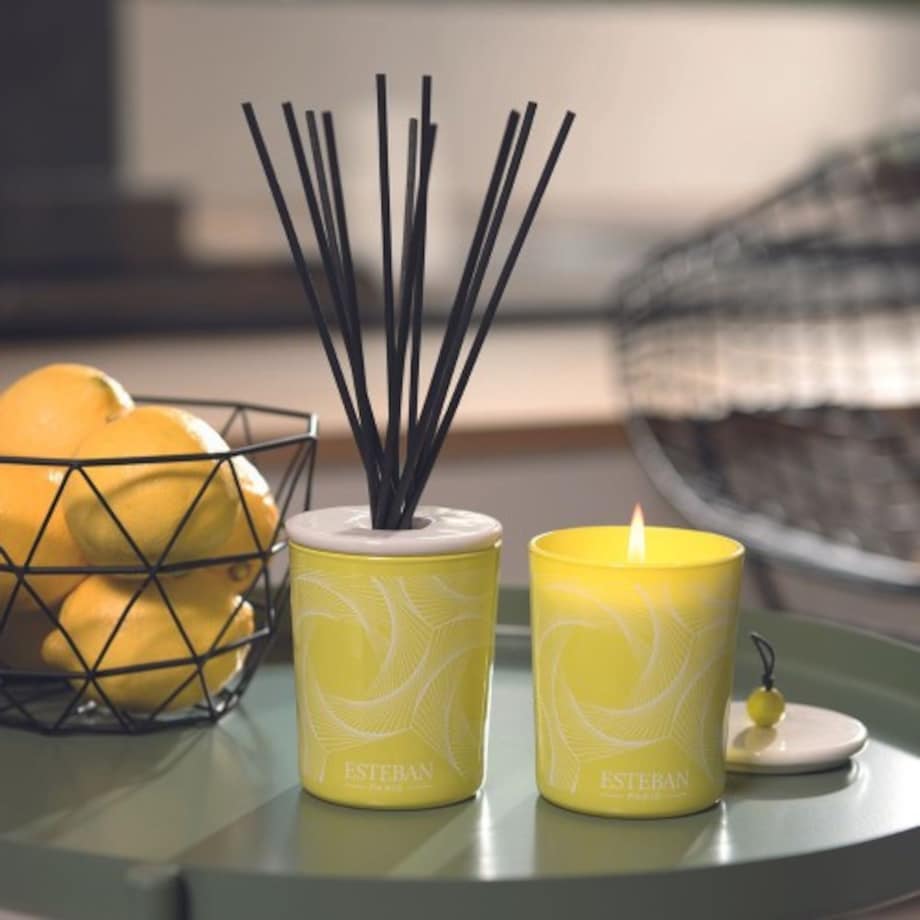 Dyfuzor zapachowy z patyczkami Terre d'agrumes + ceramiczna przykrywka, 100 ml, Esteban