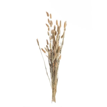 Bukiet Dmuszka 60cm beige, 5 x 5 x 60 cm