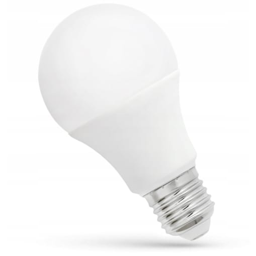 Żarówka Led Światło Zimne E-27 230V 13W 13891