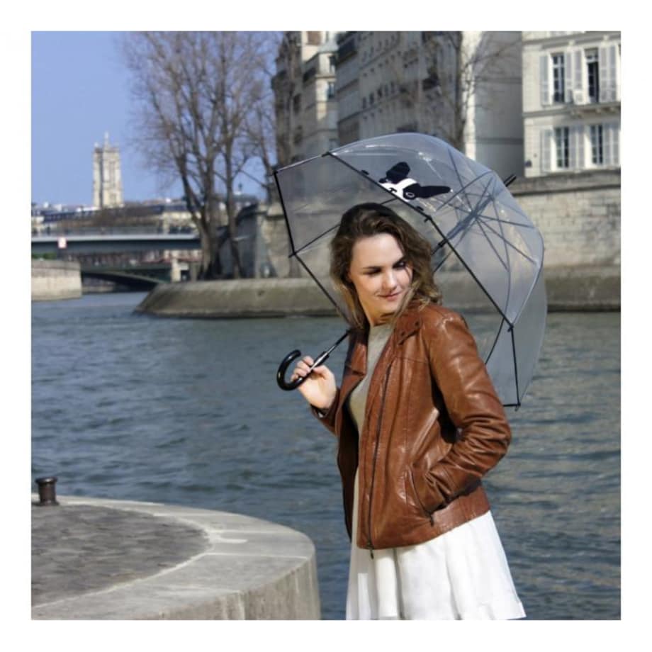 Długi parasol przezroczysty kopuła, pies