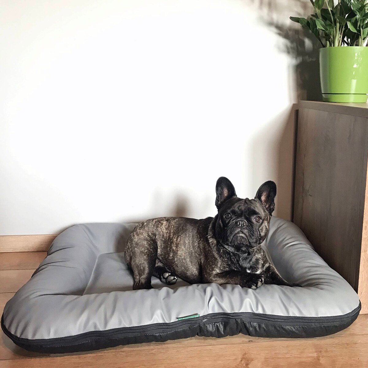 Legowisko Ponton dla psa z eko skóry ELLA, 90x70 cm, Szary