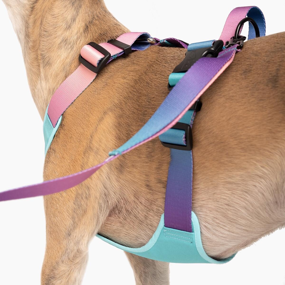 Szelki bezuciskowe dla psa lub kota "Under my ombrella" TURKUS - Szerokość taśmy: 38mm, Rozmiar: M