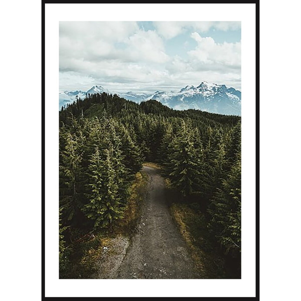 Poster Story, Plakat, Obraz - Las u Podnóża Alp, wymiary 21 x 30 cm