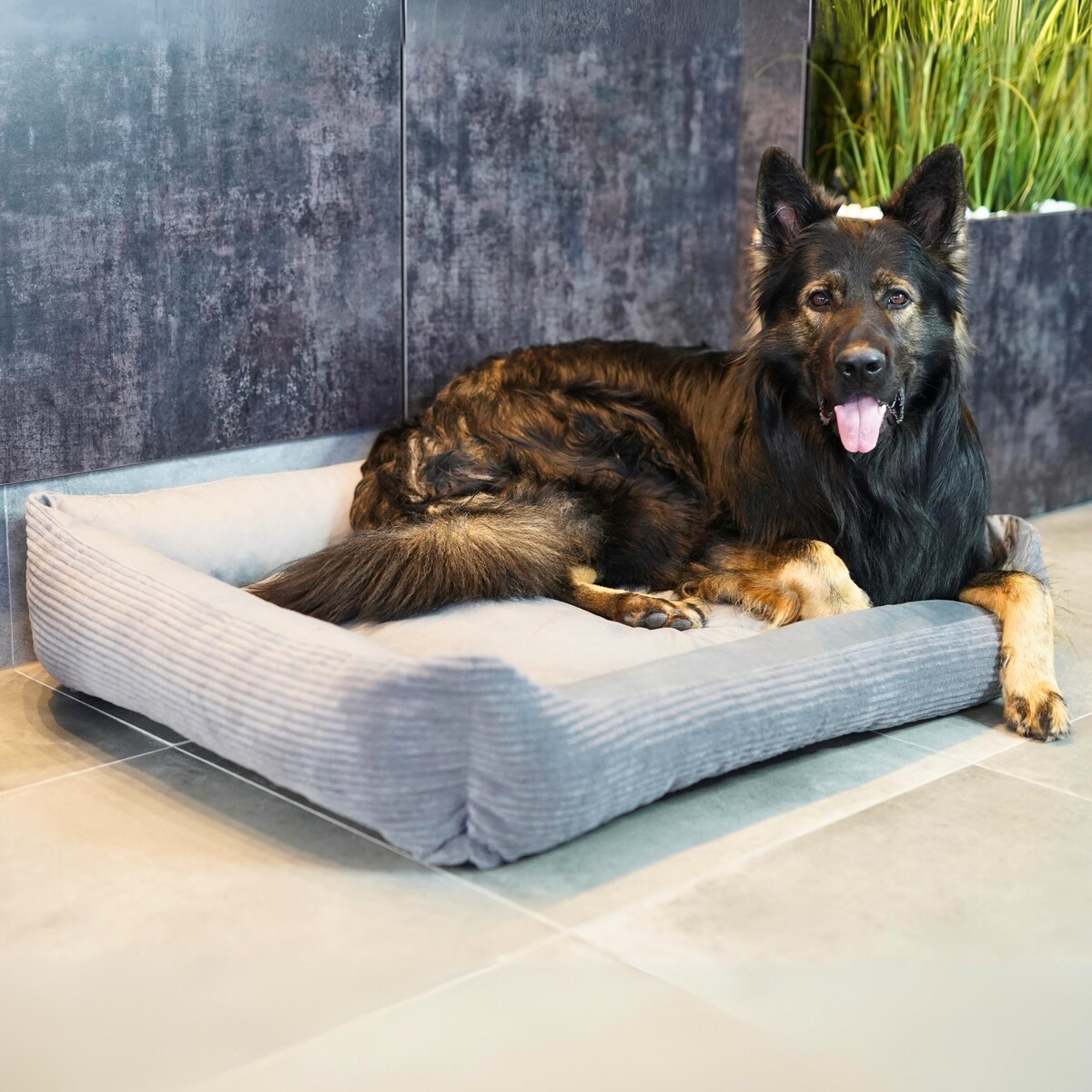 Sztruksowe legowisko dla psa MOLLY, 80x60 cm, Szary