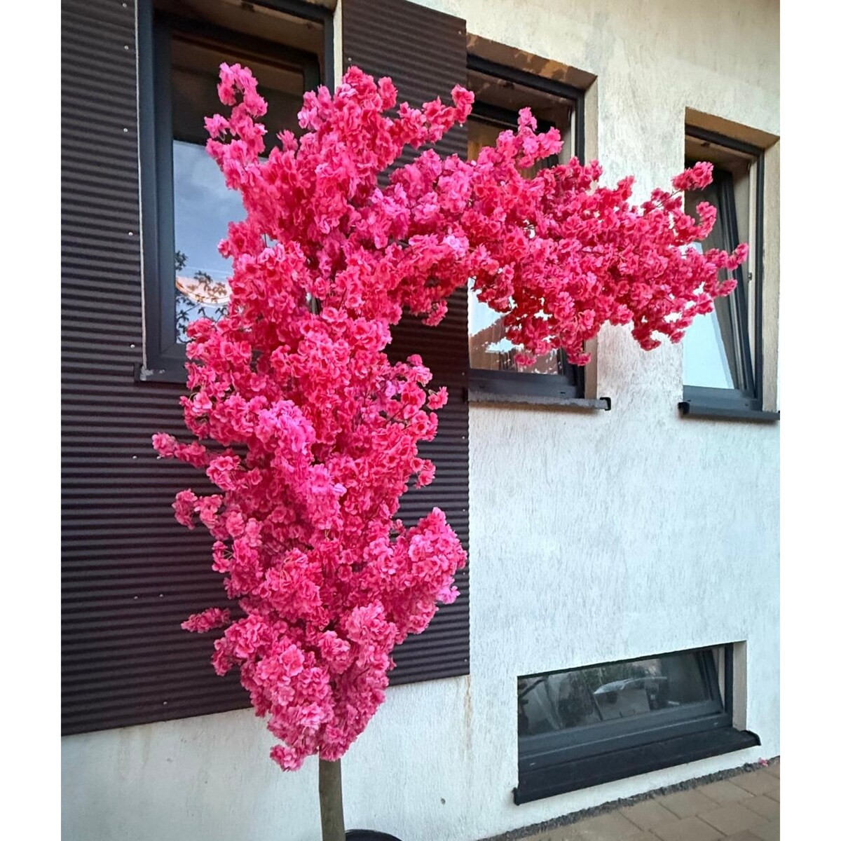 Drzewo wiśnia fuksjowa boczna na naturalnym pniu 220 cm