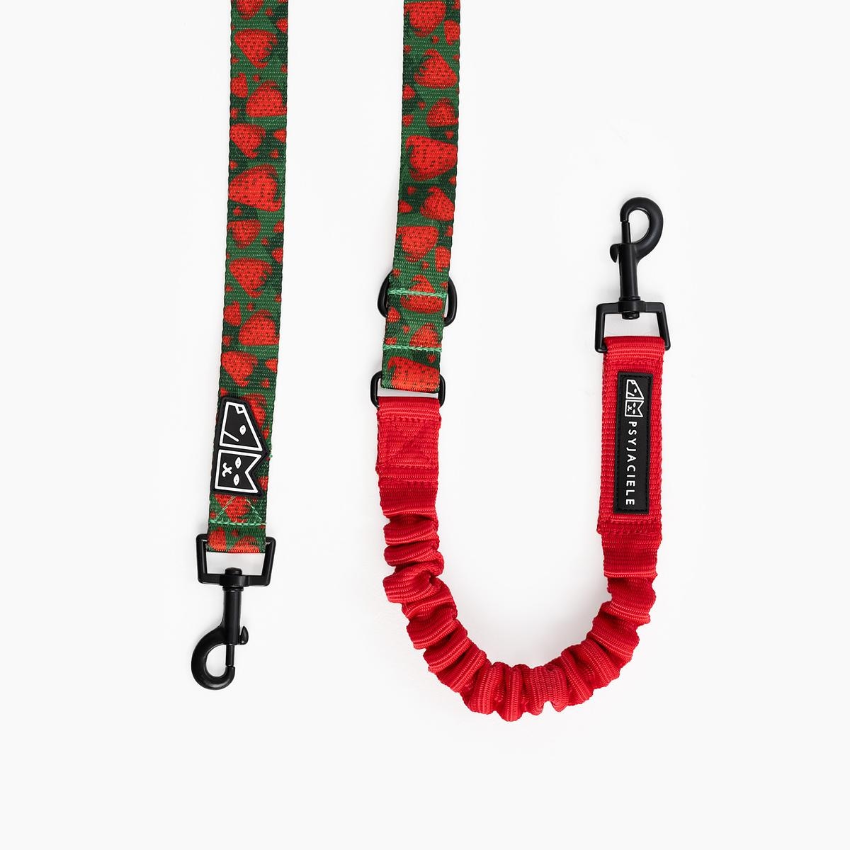 Smycz przepinana z amortyzatorem dla psa lub kota "Większe niż poziomka na 9 liter" - Szerokość taśmy: 25mm, Rozmiar: L oraz Rodzaj: Mały karabinek