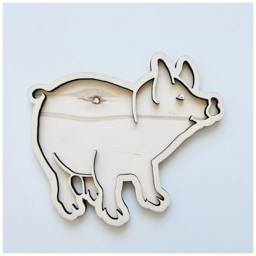 Wysypywanka sensoryczna ŚWINKA