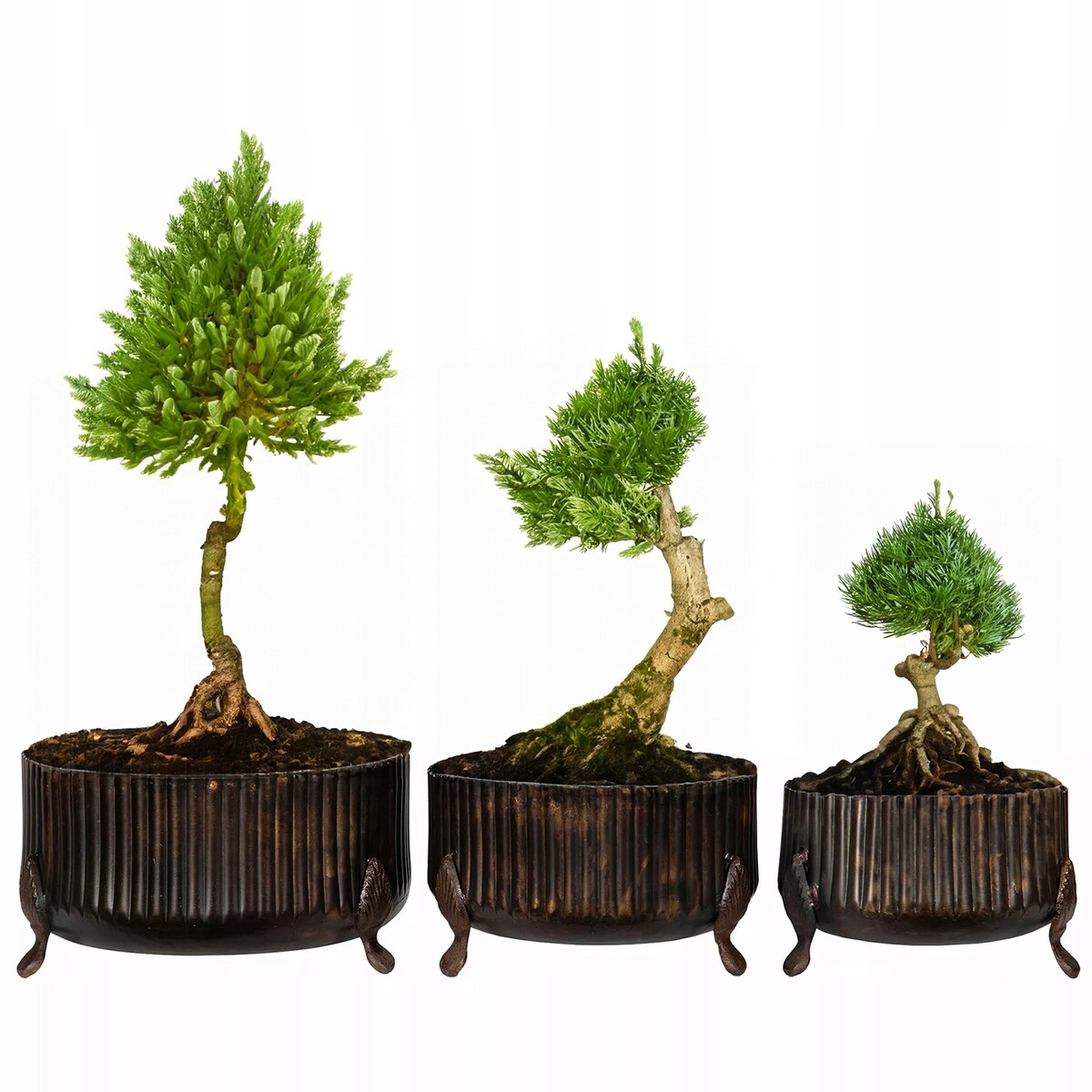 DONICZKA METALOWA 3 szt. brązowa do salonu domu osłonka na bonsai palmy