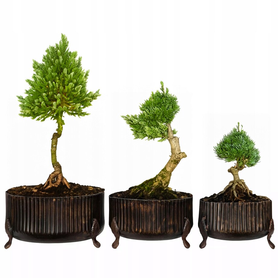 DONICZKA METALOWA 3 szt. brązowa do salonu domu osłonka na bonsai palmy