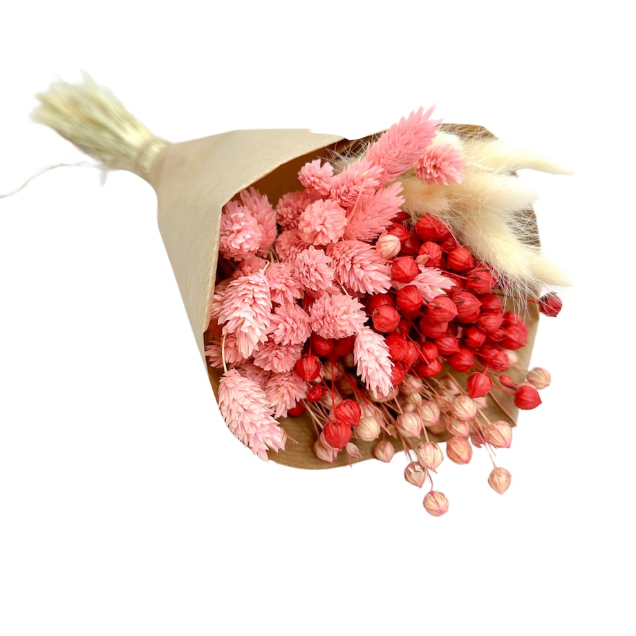 Zestaw suszonych kwiatów do wazonu Red roz. S - len, phalaris, lagurus
