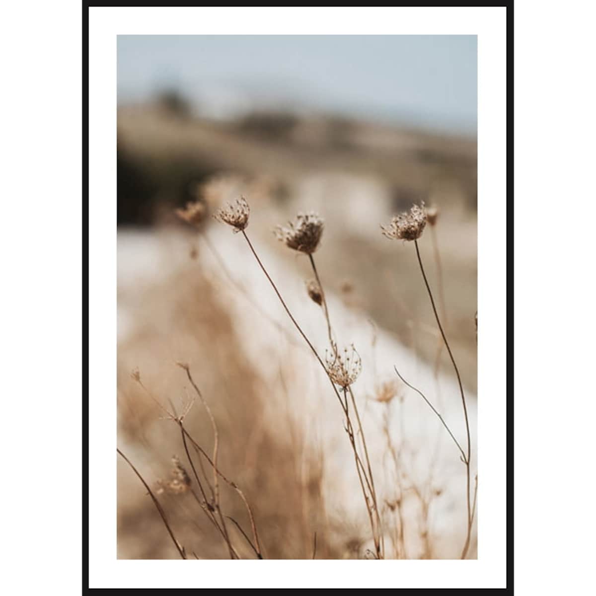 Poster Story, Plakat, Obraz - Delikatna Trawa przy Polnej Drodze, wymiary 21 x 30 cm