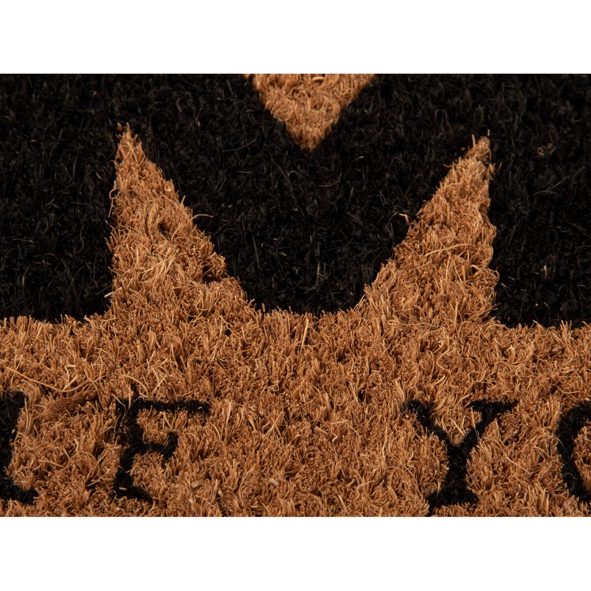 Wycieraczka pod drzwi z włókna kokosowego COME IN, 75 x 26 x 2 cm