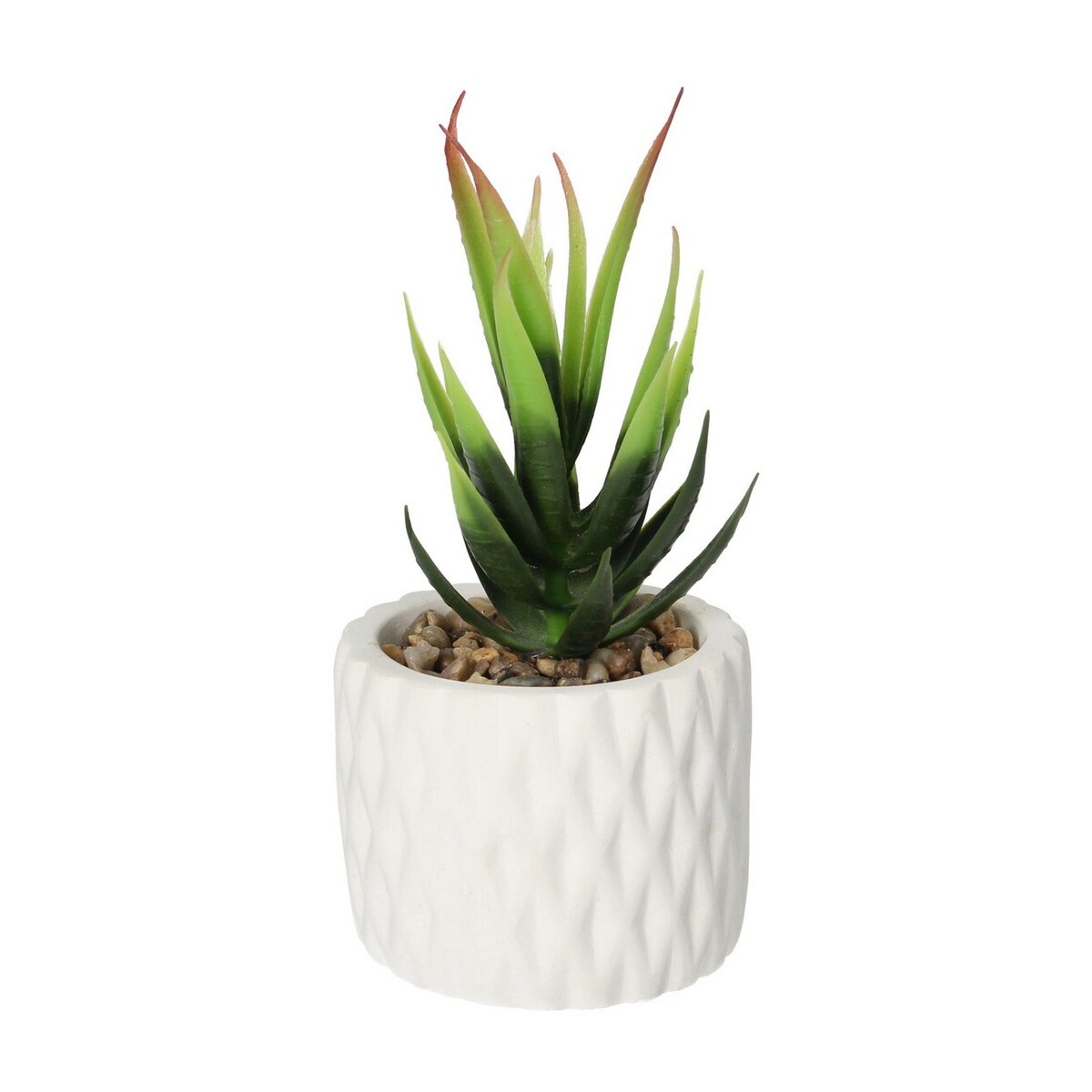 Dekoracja Sansevieria 12cm, 8 x 8 x 12 cm