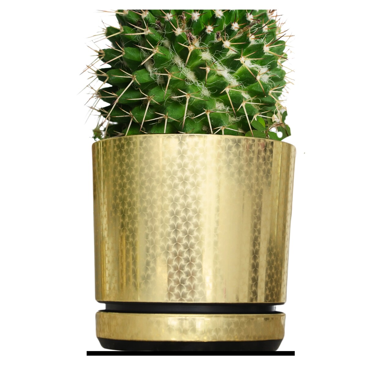 12 cm wzór ZŁOTY ART - DECO piękny elegancki deseń niezwykły wzór glamour ekskluzywna