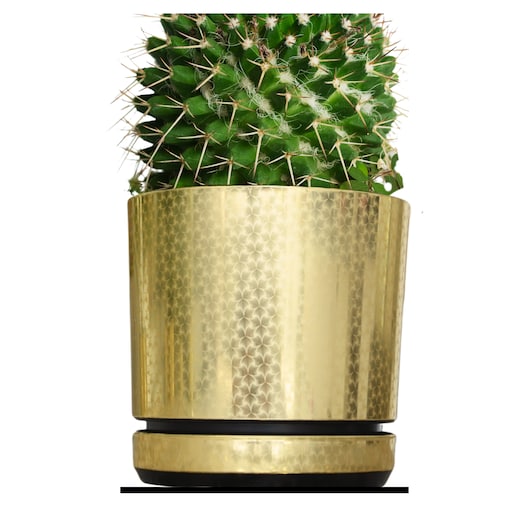 12 cm wzór ZŁOTY ART - DECO piękny elegancki deseń niezwykły wzór glamour ekskluzywna