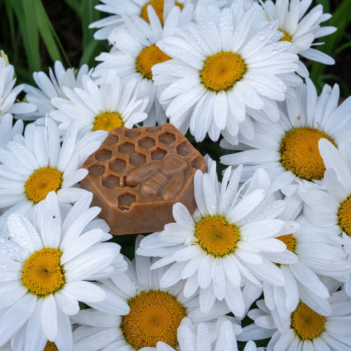 mydło naturalne PROPOLISOWE