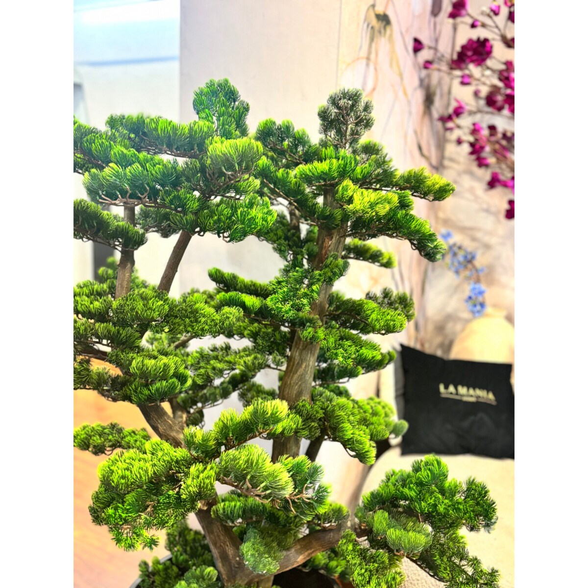 Bonsai na naturalnym pniu 120cm