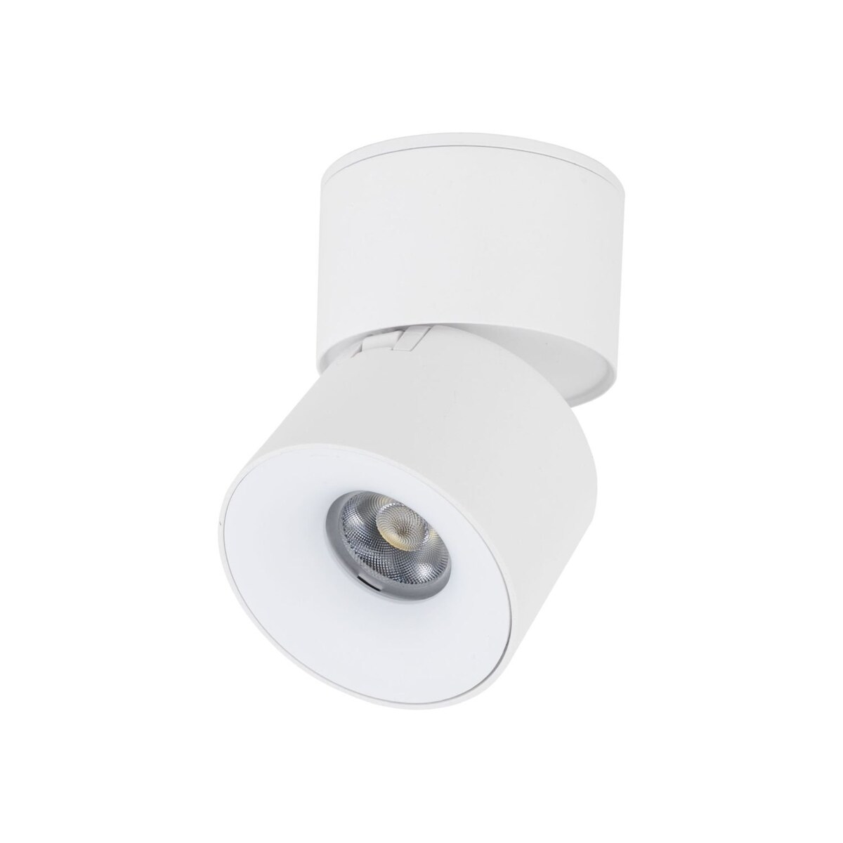Reflektor LED TK Lighting SPARK WHITE CCT 10W biały ruchomy regulacja barwy światła 230V IP20
